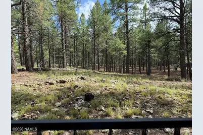 347 W Wulfenite Road, Flagstaff, AZ 86005 - Photo 5