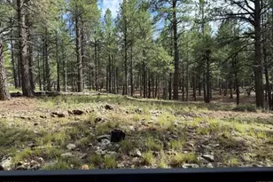347 W Wulfenite Rd, Flagstaff, AZ 86005 - Photo 5