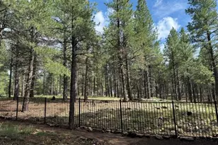 347 W Wulfenite Rd, Flagstaff, AZ 86005 - Photo 33