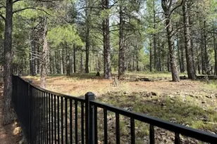 347 W Wulfenite Rd, Flagstaff, AZ 86005 - Photo 35