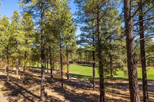 4180 S Lariat Loop, Flagstaff, AZ 86005 - Photo 11