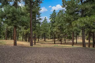 3772 E Jacamar Dr, Flagstaff, AZ 86004 - Photo 31