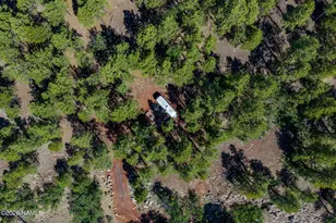 13315 E Pioneer, Parks, AZ 86018 - Photo 39