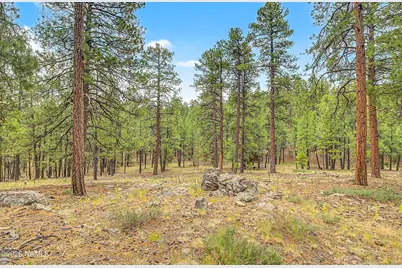 3567 W Kiltie Loop, Flagstaff, AZ 86005 - Photo 45
