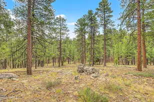 3567 W Kiltie Loop, Flagstaff, AZ 86005 - Photo 45