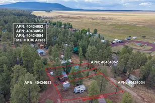 220 Lk Vw Dr, Mormon Lake, AZ 86038 - Photo 35