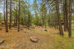 3387 Lee Doyle, Flagstaff, AZ 86005 - Photo 59