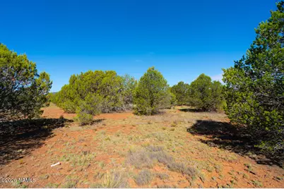 1173 E Tamarack Street, Williams, AZ 86046 - Photo 9