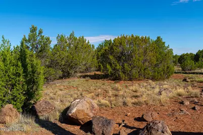 1173 E Tamarack Street, Williams, AZ 86046 - Photo 1