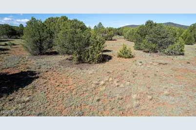 1173 E Tamarack Street, Williams, AZ 86046 - Photo 19