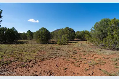 1173 E Tamarack Street, Williams, AZ 86046 - Photo 5