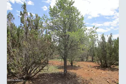 1237 E Alimos Way, Williams, AZ 86046 - Photo 21
