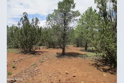 1237 E Alimos Way, Williams, AZ 86046 - Photo 19