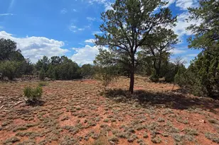 2260 S Kaibab Rd, Williams, AZ 86046 - Photo 1