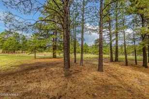 7080 Oakwood Pines Dr, Flagstaff, AZ 86004 - Photo 63
