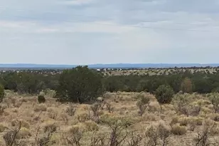 10187 S Cougar Ct, Williams, AZ 86046 - Photo 1