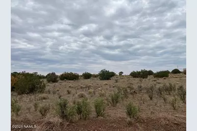 10187 S Cougar Court, Williams, AZ 86046 - Photo 13
