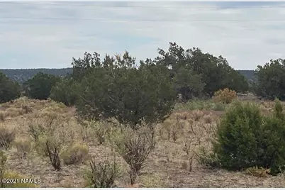 10187 S Cougar Court, Williams, AZ 86046 - Photo 9