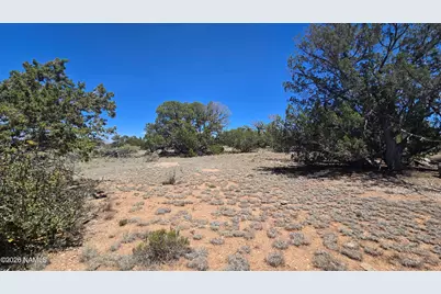 2226 Watchtower Pass, Williams, AZ 86046 - Photo 7