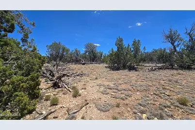 2226 Watchtower Pass, Williams, AZ 86046 - Photo 5