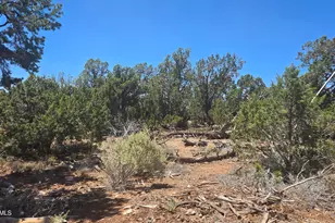 2226 Watchtower Pass, Williams, AZ 86046 - Photo 1