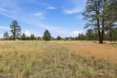 6314 E Burris Lane, Flagstaff, AZ 86004 - Photo 7