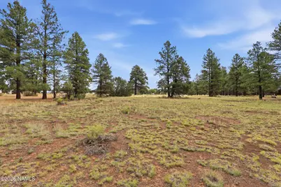 6314 E Burris Lane, Flagstaff, AZ 86004 - Photo 9