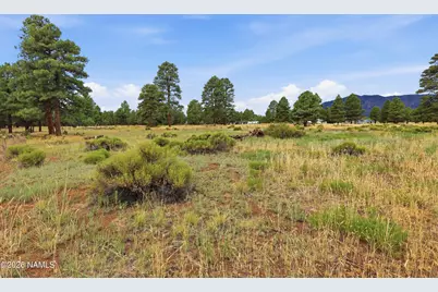 6314 E Burris Lane, Flagstaff, AZ 86004 - Photo 1