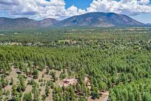 1520 W Tolchaco Rd, Flagstaff, AZ 86001 - Photo 11