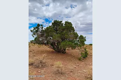 3153 E Judy Drive, Williams, AZ 86046 - Photo 11