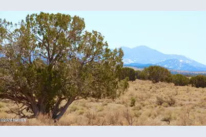 3153 E Judy Drive, Williams, AZ 86046 - Photo 15