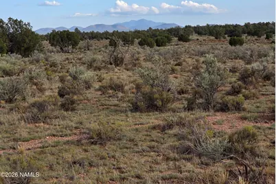 2097 Watchtower Pass, Williams, AZ 86046 - Photo 13