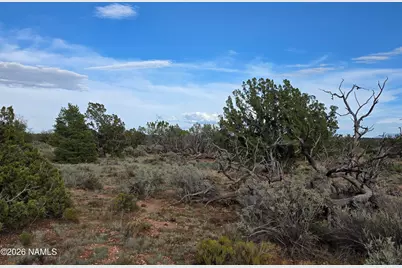 2097 Watchtower Pass, Williams, AZ 86046 - Photo 15