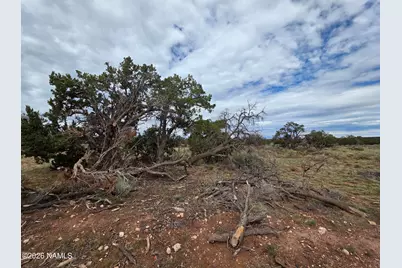 2097 Watchtower Pass, Williams, AZ 86046 - Photo 29