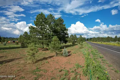 12339 E Old Route 66, Parks, AZ 86018 - Photo 5