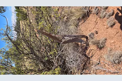 3711 E Wingfield Road, Williams, AZ 86046 - Photo 21