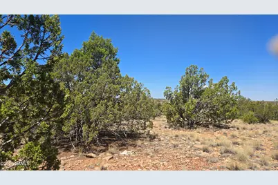 3711 E Wingfield Road, Williams, AZ 86046 - Photo 17