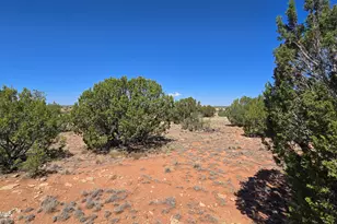 3711 E Wingfield Rd, Williams, AZ 86046 - Photo 1