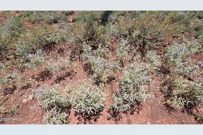 2470 N Luana Drive, Williams, AZ 86046 - Photo 13