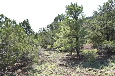 1124 E San Marcos Road, Williams, AZ 86046 - Photo 15