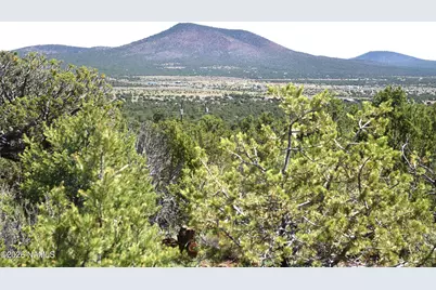 1124 E San Marcos Road, Williams, AZ 86046 - Photo 3