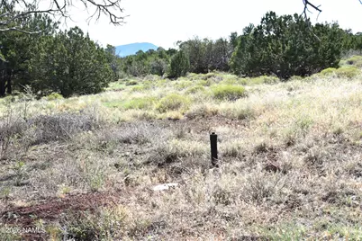 1124 E San Marcos Road, Williams, AZ 86046 - Photo 7