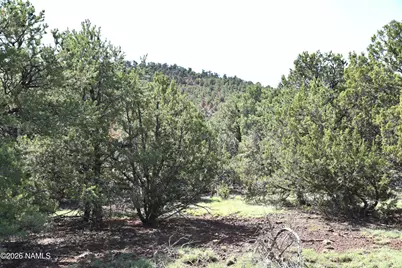 1124 E San Marcos Road, Williams, AZ 86046 - Photo 13