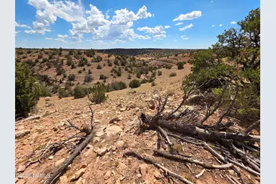 5864 W Blue Star Trl Lot A, Williams, AZ 86046 - Photo 25