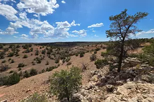 5864 W Blue Star Trl Lot A, Williams, AZ 86046 - Photo 1