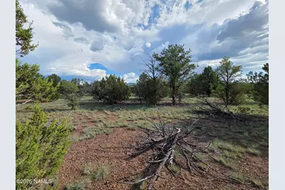2870 E Forest Service Road 736, Williams, AZ 86046 - Photo 3