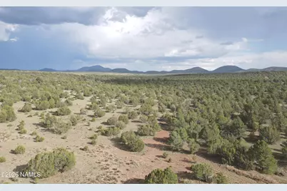 2870 E Forest Service Road 736, Williams, AZ 86046 - Photo 33