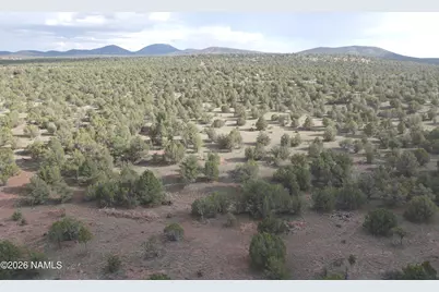 2870 E Forest Service Road 736, Williams, AZ 86046 - Photo 7