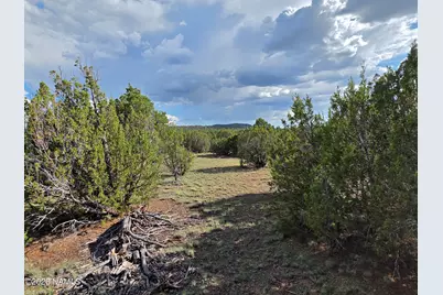2870 E Forest Service Road 736, Williams, AZ 86046 - Photo 19