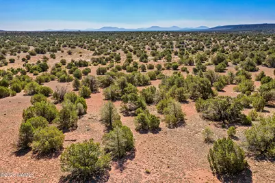 9123 S Lariat Rd Lot A, Williams, AZ 86046 - Photo 5